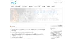 Desktop Screenshot of msis.co.jp